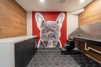 Pet spa center
